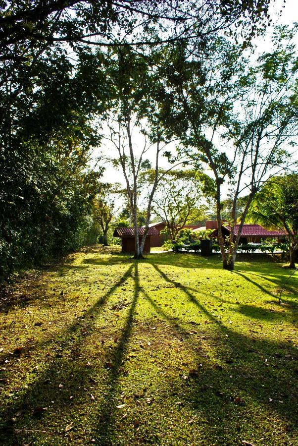 Natural Lodge Cano Negro Exterior photo